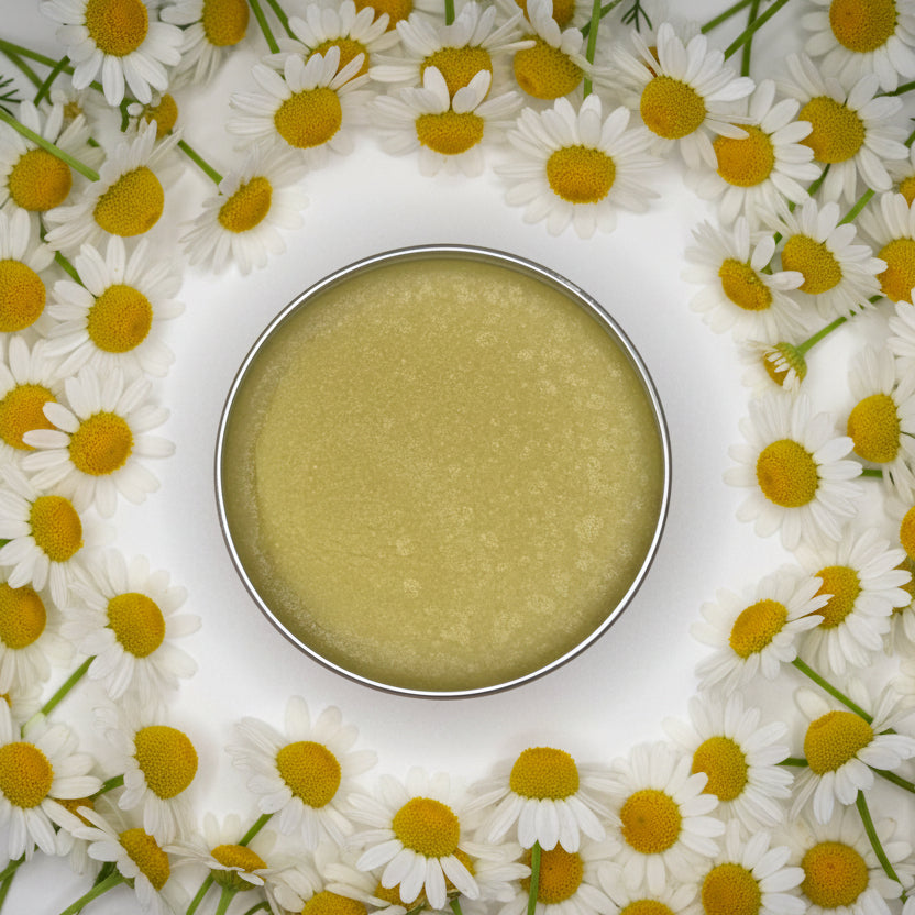 Chamomile Salve