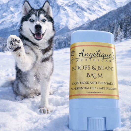 Dog with a balm stick in the snow with mountains in the background