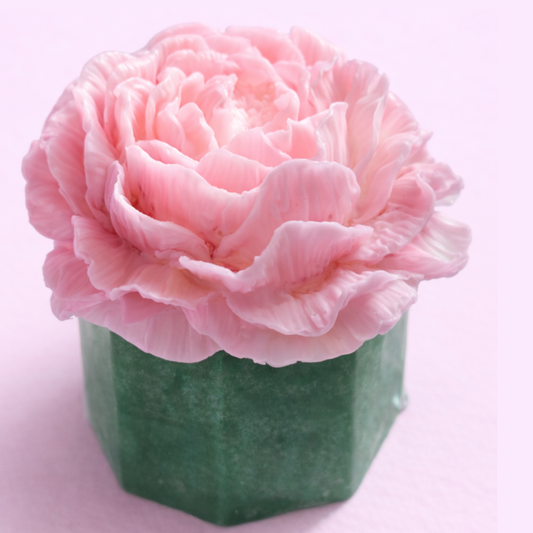 Pink flower in a green pot on a light pink background